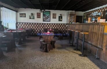 Nebytový objekt  hospoda, prodejna