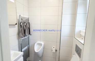 Byt 4+kk, Hradec Králové, nájem