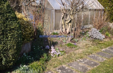 Rekreační chata, Divec, prodej