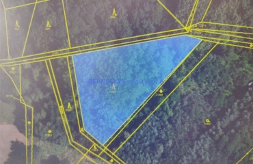 Pozemek, Rasošky, prodej